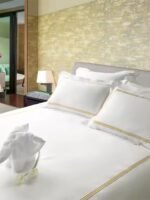 Hotel Turkeys & Bedsheets - Image 2